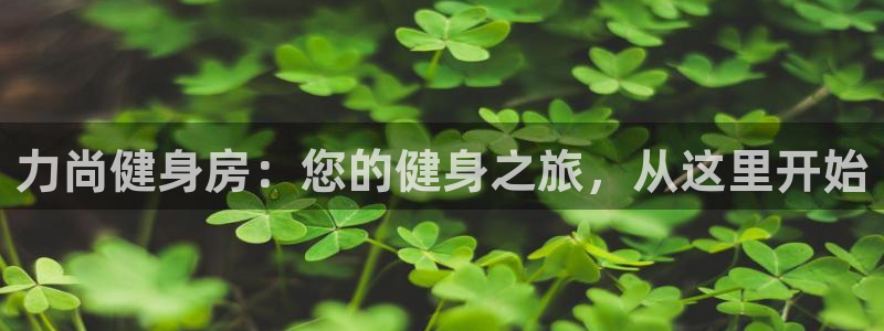 尊龙凯时公司官网